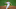 Phillies Phillies