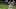 Phillies Phillies