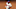 Phillies Phillies