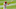 Phillies Phillies
