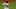 Phillies Phillies