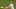 Phillies Phillies