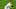 Phillies Phillies