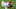 Phillies Phillies