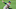 Phillies Phillies