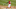 Phillies Phillies