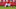 Phillies Phillies