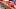 WASHINGTON, DC – SEPTEMBER 28: Manager Matt Williams WASHINGTON, DC – SEPTEMBER 28: Manager Matt Williams