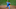 Phillies Phillies