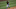 Josh Bell, formerly of the Pittsburgh Pirates (Photo by Dylan Buell/Getty Images) Josh Bell, formerly of the Pittsburgh Pirates (Photo by Dylan Buell/Getty Images)
