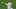 Philadelphia Phillies Philadelphia Phillies