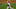 Spencer Howard #48 of the Philadelphia Phillies (Photo by Jim McIsaac/Getty Images) Spencer Howard #48 of the Philadelphia Phillies (Photo by Jim McIsaac/Getty Images)