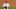 Phillies Phillies