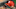Philadelphia Phillies