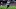 fantasy football fantasy football