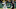 fantasy football fantasy football