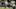 fantasy football fantasy football