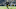 NY Jets (Photo by Dylan Buell/Getty Images) NY Jets (Photo by Dylan Buell/Getty Images)