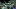 New York Jets, Brian Poole (Photo by Al Bello/Getty Images) New York Jets, Brian Poole (Photo by Al Bello/Getty Images)