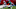 NY Jets (Photo by Stacy Revere/Getty Images) NY Jets (Photo by Stacy Revere/Getty Images)