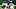 NY Jets (Photo by Sarah Stier/Getty Images) NY Jets (Photo by Sarah Stier/Getty Images)
