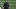 NY Jets (Photo by Elsa/Getty Images) NY Jets (Photo by Elsa/Getty Images)
