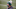 NY Jets, Sam Darnold (Photo by Abbie Parr/Getty Images) NY Jets, Sam Darnold (Photo by Abbie Parr/Getty Images)