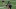 NY Jets (Photo by Elsa/Getty Images) NY Jets (Photo by Elsa/Getty Images)