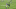 NY Jets, Marcus Maye (Photo by Sean M. Haffey/Getty Images) NY Jets, Marcus Maye (Photo by Sean M. Haffey/Getty Images)
