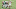NY Jets