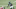 NY Jets