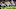 Dallas Cowboys Dallas Cowboys