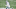 Cedrick Wilson, Dallas Cowboys Cedrick Wilson, Dallas Cowboys