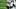 Michael Gallup, Dallas Cowboys (Photo by Cooper Neill/Getty Images)