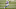 Dallas Cowboys Dallas Cowboys