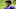 Robert Griffin III , Dallas Cowboys Robert Griffin III , Dallas Cowboys
