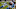 Jayron Kearse, Dallas Cowboys Jayron Kearse, Dallas Cowboys