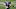 Carter Coughlin, New York Giants