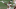 Chase Young, Washington Football Team