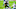 Neville Gallimore, Dallas Cowboys Neville Gallimore, Dallas Cowboys