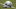 Dallas Cowboys Dallas Cowboys