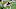 Alabama Crimson Tide defensive lineman Christian Barmore (58)