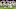 Dallas Cowboys Dallas Cowboys