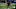 Cowboys, Sam Williams Cowboys, Sam Williams