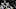 Dallas Mavericks Dallas Mavericks