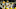 (Photo by Adam Bettcher/Getty Images) Aaron Rodgers (Photo by Adam Bettcher/Getty Images) Aaron Rodgers