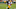 ASHWAUBENON, WI - AUGUST 11: Green Bay Packers tight end Robert Tonyan (85) makes a catch during practice at Green Bay Packers Training Camp at Ray Nitschke Field on August 11, 2019 in Ashwaubenon, WI. (Photo by Larry Radloff/Icon Sportswire via Getty Images) ASHWAUBENON, WI - AUGUST 11: Green Bay Packers tight end Robert Tonyan (85) makes a catch during practice at Green Bay Packers Training Camp at Ray Nitschke Field on August 11, 2019 in Ashwaubenon, WI. (Photo by Larry Radloff/Icon Sportswire via Getty Images)
