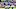 Minnesota Vikings Minnesota Vikings
