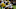(Photo by Jonathan Daniel/Getty Images) Aaron Rodgers (Photo by Jonathan Daniel/Getty Images) Aaron Rodgers