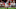 (Photo by Zach Bolinger/Icon Sportswire via Getty Images) Jeff Okudah (Photo by Zach Bolinger/Icon Sportswire via Getty Images) Jeff Okudah